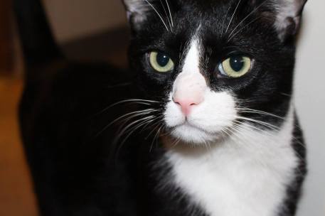 11046174_10205022464938859_8107065514738777586_o